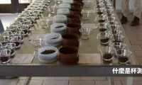 DISCOVERY式杯测法教程 咖啡杯测怎么测 如何填写咖啡杯测评分表