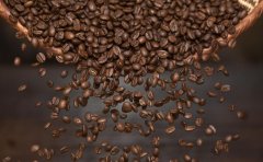 专业咖啡烘焙 | DIY002 直火烘豆机的一般使用方式教程