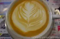 蒸气意式咖啡机使用心得与改机 如何使用意式咖啡机制作蒸汽牛奶