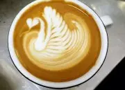 你喜欢咖啡拉花吗 咖啡拉花天鹅图案有什么要注意的
