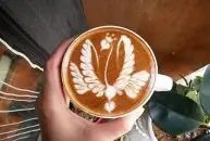 咖啡拉花天鹅视频教程集合 咖啡拉花单翅天鹅与双天鹅图解技巧