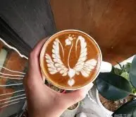 咖啡拉花天鹅视频教程集合 咖啡拉花单翅天鹅与双天鹅图解技巧