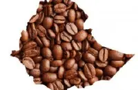 阿拉比卡(Arabica)咖啡豆的故乡-埃塞俄比亚 阿拉比卡是哪个国家