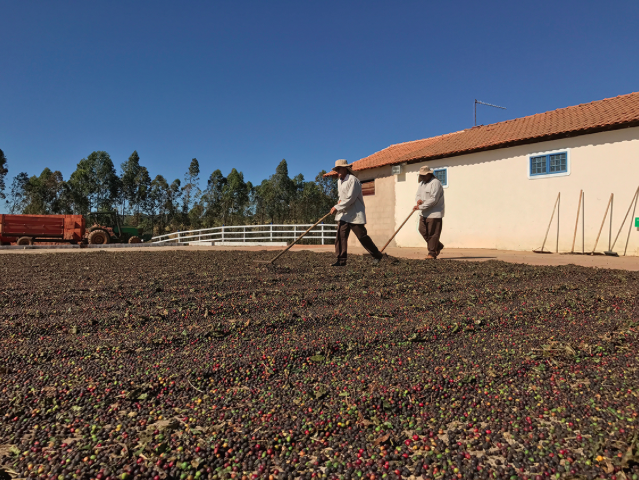 巴西，咖啡庄园工业化的代表国——王策的咖啡产区之旅