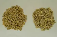 什么是摩卡咖啡？也门摩卡-玛塔莉日晒豆是也门真正的摩卡咖啡豆
