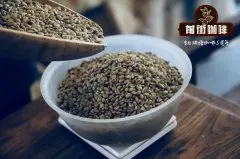 中国云南咖啡之“变”-低价困境下的中国云南咖啡 即将何去何从？