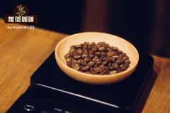 咖啡豆的研磨与冲煮教程 咖啡豆怎么做咖啡 咖啡豆怎么磨成粉