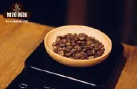 摩卡的含义是什么意思？战火涅盘的也门摩卡咖啡豆你喝过吗？