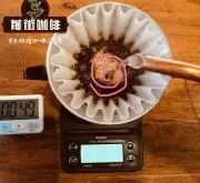 云南咖啡卡蒂姆Catimor标测风味特点 云南小粒咖啡怎么冲泡的