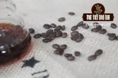 越南咖啡有三宝：猫屎炼乳滴滴壶 越南猫屎咖啡好喝吗？