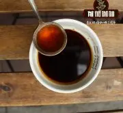 云南咖啡豆冲泡技巧要注意什么 手冲云南小粒咖啡比例水温参数简介