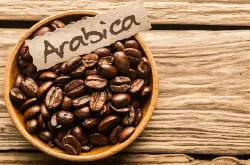 只要是阿拉比卡咖啡都好喝吗？为什么说阿拉比卡咖啡豆比较好喝?