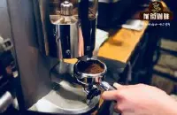 猫屎咖啡的由来 粪便也好值钱 猫屎咖啡多少钱一斤