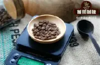 猫屎咖啡来源于麝香猫的粪便 象屎咖啡来源于大象的粪便