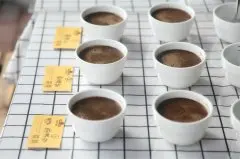 精品咖啡豆耶加金蕾娜安芭雅镇 席林加村豆子特别，怎么冲好喝？