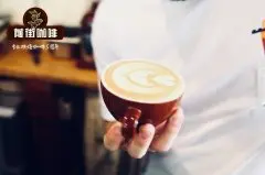 世界咖啡师大赛介绍？世界咖啡大赛流程是怎样的？