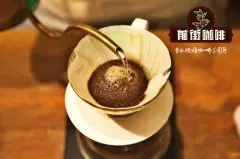 《铁皮卡咖啡豆品鉴报告》小粒咖啡铁皮卡咖啡豆味道有什么特别？