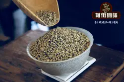 云南咖啡豆贱卖求生：一杯咖啡30元 能买到2公斤生豆