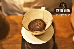 星巴克有几款手冲咖啡豆种类 哪款好喝 星巴克手冲咖啡滤杯特点
