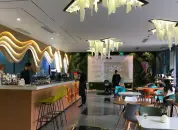上海咖啡店 独爱小清新 上海文艺咖啡厅推荐 | DNA Cafe怎么样？