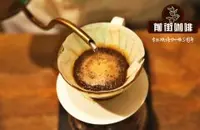 水洗耶加雪菲沃卡咖啡风味特点 Sakaro沙卡罗Mijane蜜珍处理厂信