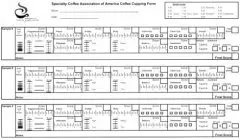 新版旧版scaa咖啡杯测表原图下载 SCA咖啡杯测步骤标准杯测流程