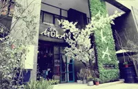 重庆环境最好的咖啡馆-MOKA 墨·咖咖啡馆 重庆适合拍照的咖啡馆