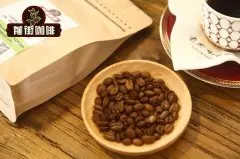 咖啡豆什么牌子的好 世界咖啡主要产区及代表性咖啡豆的种类介绍