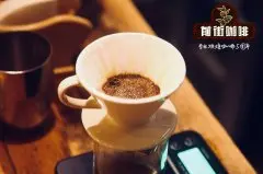 台湾咖啡 台湾雅谷咖啡庄园介绍 台湾咖啡手冲建议