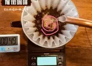 咖啡种类浓度排行 咖啡金杯标准与咖啡的基础原理公式计算方法