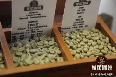 2022新产季咖啡豆多少钱一斤 2022年进口咖啡豆烘焙熟豆最新价格表