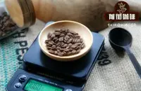 也门著名咖啡豆种植历史介绍 也门马伊利咖啡豆与摩卡咖啡豆区别