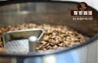 洪都拉斯咖啡豆品牌推荐 洪都拉斯咖啡豆风味特色介绍