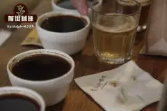 适合手冲的咖啡豆 蜂蜜AATop 肯尼亚咖啡原产地介绍