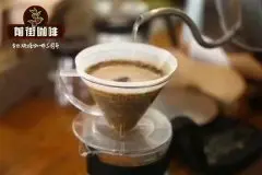 如何根据黄金曼特宁咖啡特点选择适用滤杯_黄金曼特宁手冲KONO