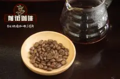 坦桑尼亚咖啡与肯尼亚咖啡的区别_坦桑尼亚咖啡豆风味价格多少钱
