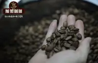 卢旺达最大咖啡处理厂-穆莎莎咖啡豆故事_如何烘焙卢旺达咖啡豆