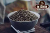 也门摩卡咖啡豆产地_摩卡咖啡豆怎么喝视频教程_摩卡咖啡豆价格