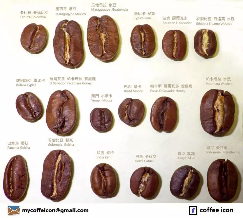 走进古老的咖啡品种，原生种和变异种介绍与风味特点