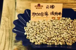 耶加雪菲咖啡豆和西达摩花魁咖啡豆手冲风味口感特点什么区别