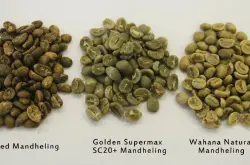 什么是曼特宁咖啡豆？曼特宁叫法名字的由来故事特点 怎么区分印尼黄金曼特宁？