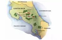 美洲哥斯达黎加产区咖啡豆处理法-什么是红酒日晒处理法？