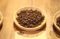 巴西红果、皇后、哈尼亚风味对比-波旁咖啡有什么特点？