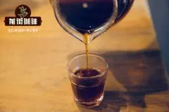 什么是越南咖啡壶？越南咖啡要怎么冲泡?越南咖啡冲泡失败的原因