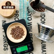 中美洲咖啡豆|哥斯达黎加SHB 蒙克里梭 水晶山|咖啡豆品牌