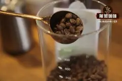 如何选择真正的有机咖啡_有机咖啡豆哪里购买_有机咖啡价格贵吗