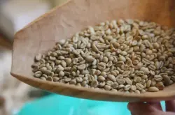 前街教你做咖啡 | 从咖啡生豆开始了解新鲜的咖啡豆是什么？