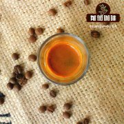 哈拉尔咖啡品种种植情况介绍_哈拉尔咖啡风味香气味道酸度回甘
