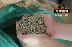 云南保山小粒咖啡豆种类介绍 云潞咖啡为什么便宜_