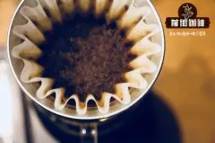 苏门答腊蜜处理曼特宁咖啡豆风味特点描述_TP是什么意思？